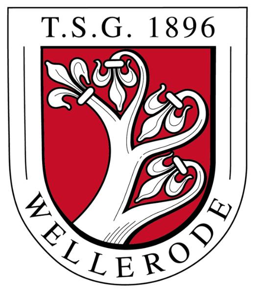 TSG 1896 Wellerode