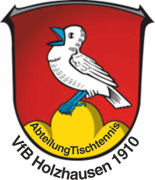 VfB 1910 Holzhausen